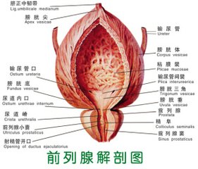 淮安前列腺炎经过药物治疗能痊愈吗？