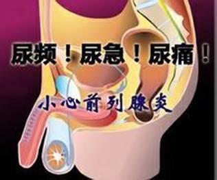 男性前列腺炎有什么症状是如何发生的，该如何***？