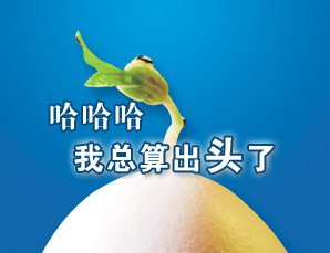 包皮手术后的注意事项有哪些【术后吃这4类食物恢复很快】