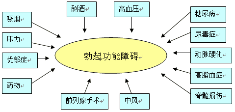 【房事勃起时间短】怎么延长勃起时间？