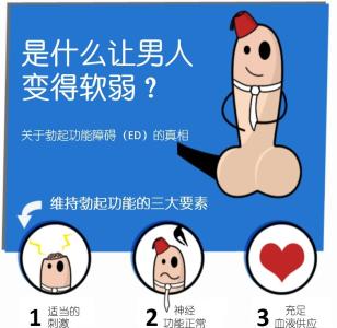 【房事勃起时间短】怎么延长勃起时间？