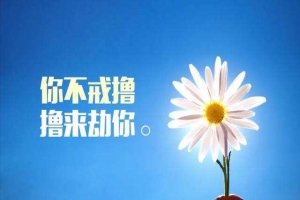 撸管射的快的人是不是早泄？小心让你成“快男”
